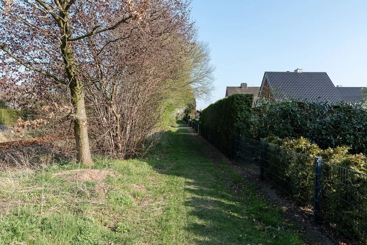 A dirt track worn across a grass lawn, cutting past the paved route nearby.