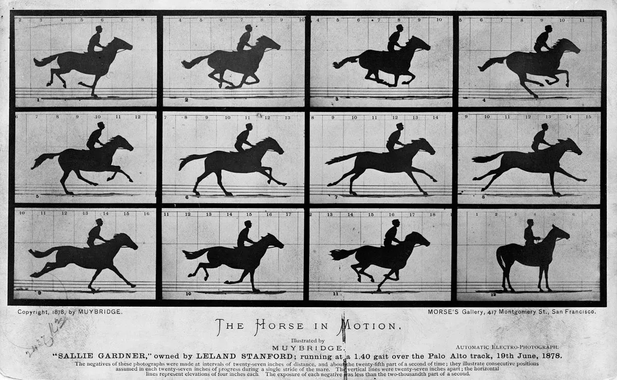 A row of sequential 1878 photographs showing a horse and rider galloping, captured one frame at a time.